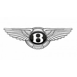 Maletas para Bentley